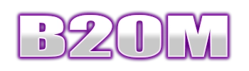 Logo B20M